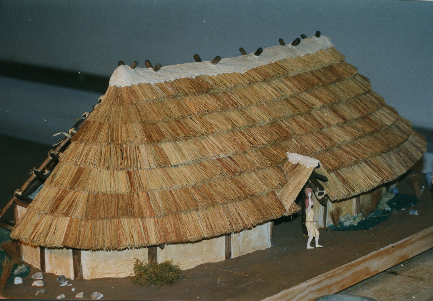 Village neolithique 2