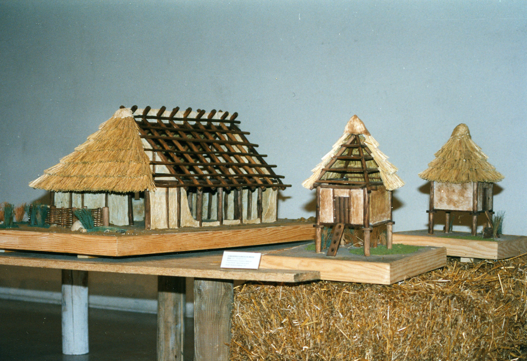 Village neolithique 3